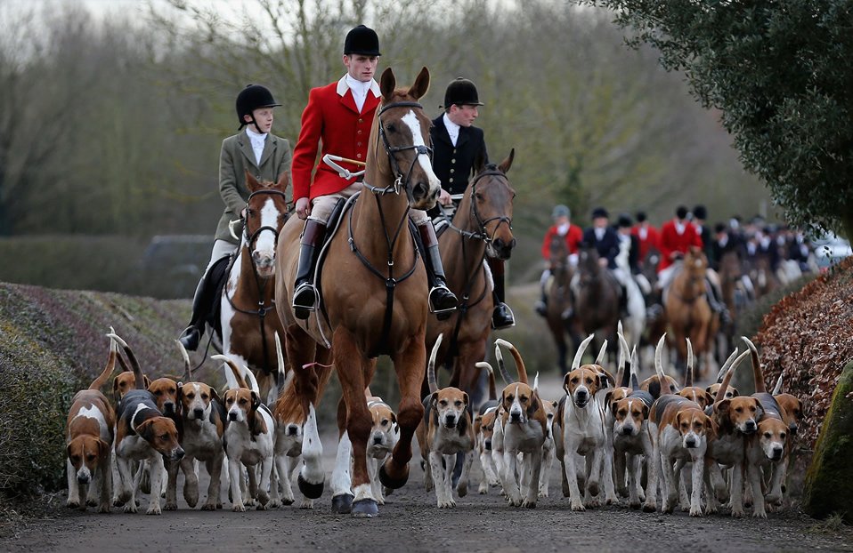 FOX HUNTING
